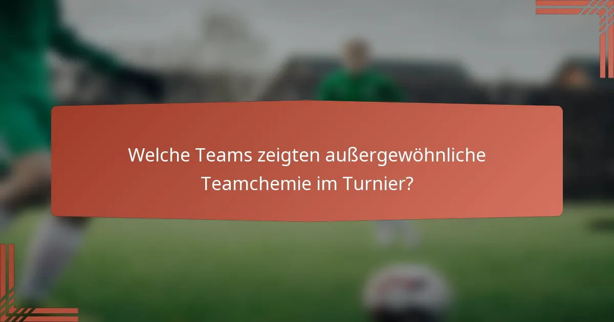 Welche Teams zeigten außergewöhnliche Teamchemie im Turnier?